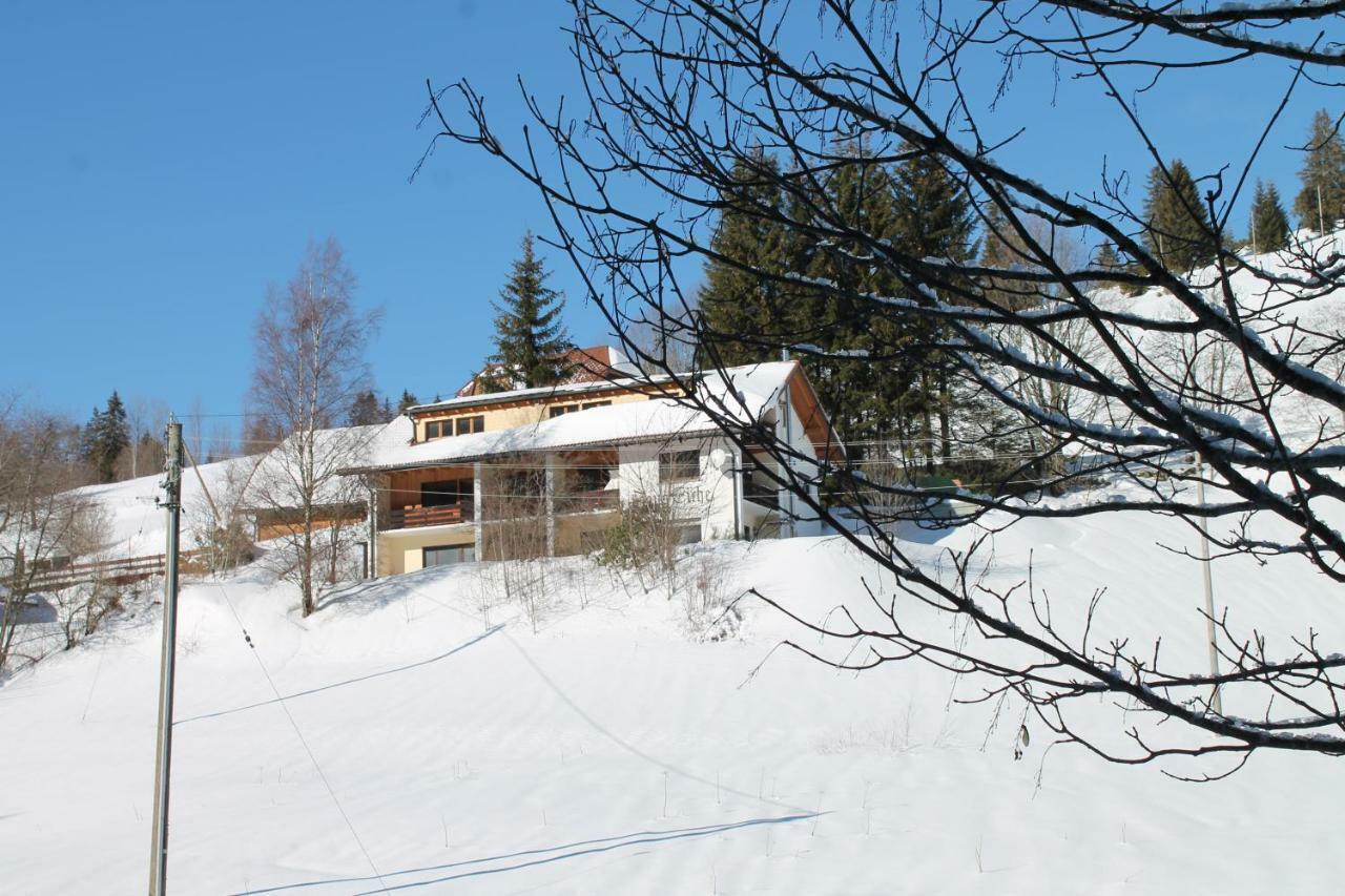 Black Forest Apartements By Hotel Gruener Baum Feldberg Feldberg  Buitenkant foto
