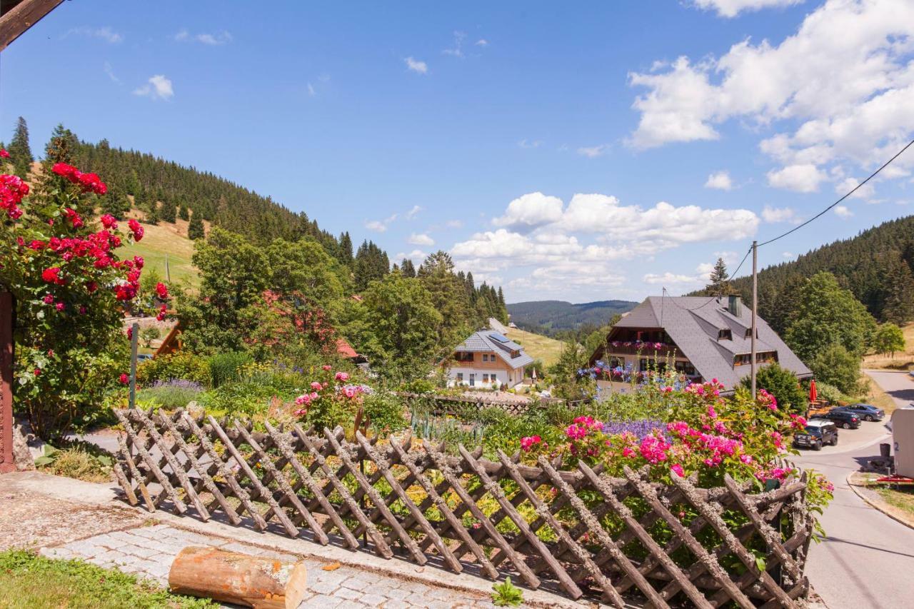 Black Forest Apartements By Hotel Gruener Baum Feldberg Feldberg  Buitenkant foto