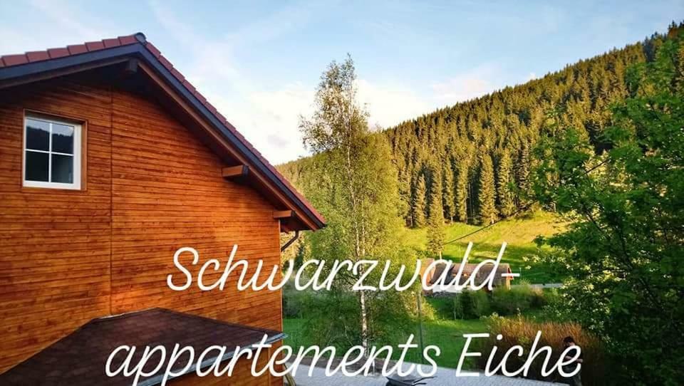 Black Forest Apartements By Hotel Gruener Baum Feldberg Feldberg  Buitenkant foto