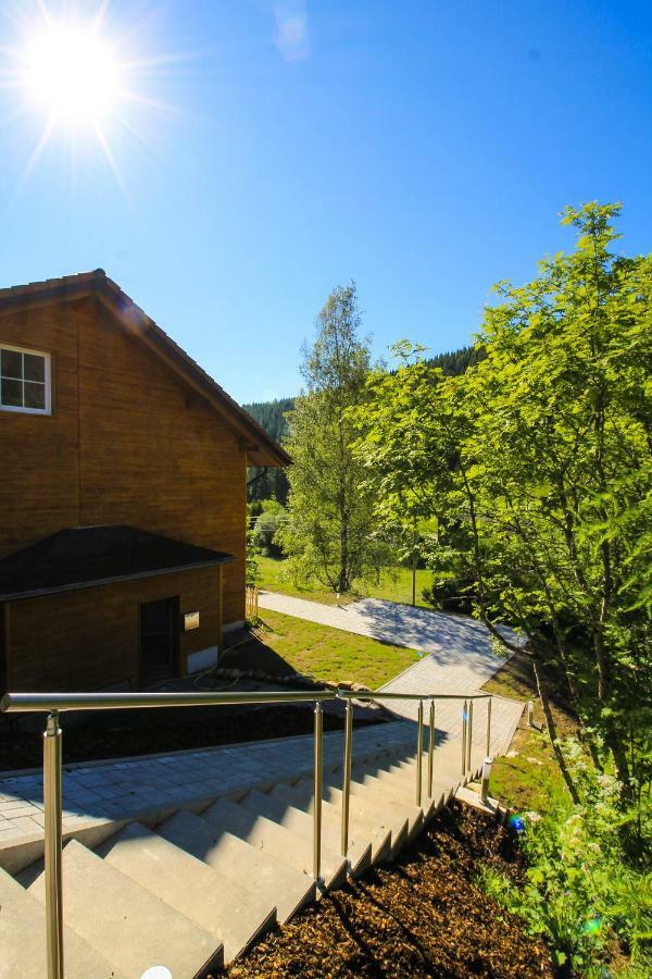 Black Forest Apartements By Hotel Gruener Baum Feldberg Feldberg  Buitenkant foto