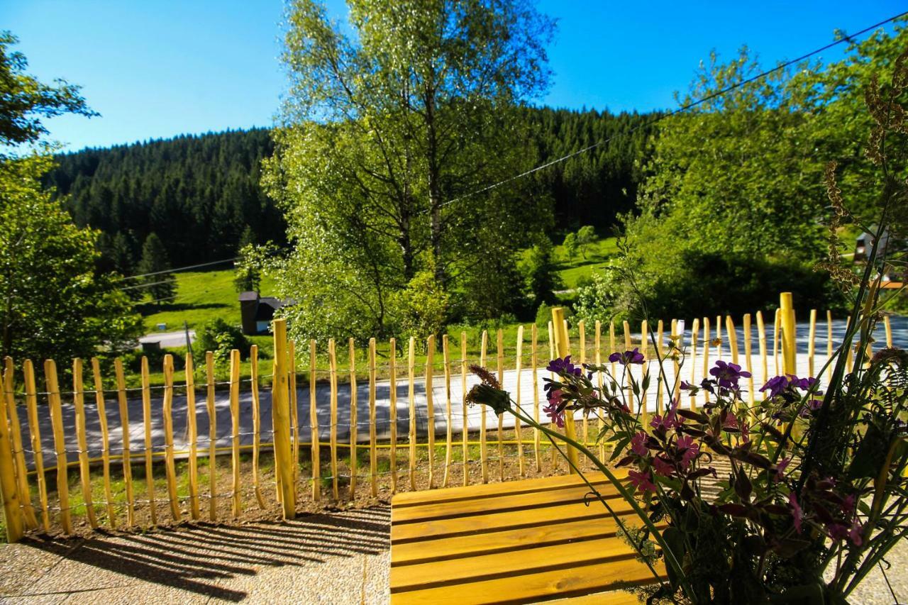 Black Forest Apartements By Hotel Gruener Baum Feldberg Feldberg  Buitenkant foto